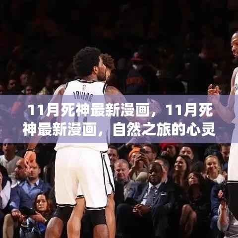 11月死神最新漫画,心灵觉醒的自然之旅与幽默相伴