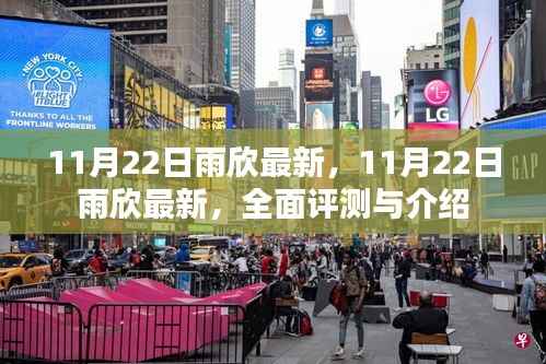 11月22日雨欣最新全面评测与介绍