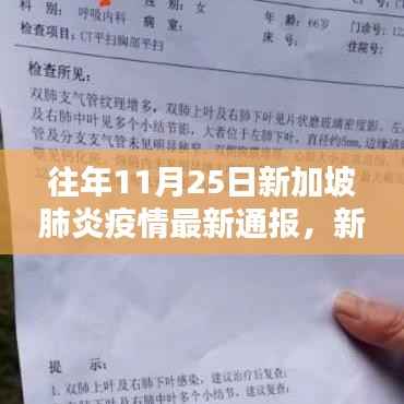 新加坡往年11月25日新冠肺炎疫情防控最新通报获取指南,疫情信息获取步骤解析
