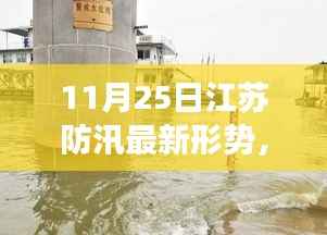 江苏防汛最新动态,水边的趣事与家的温暖,11月25日更新