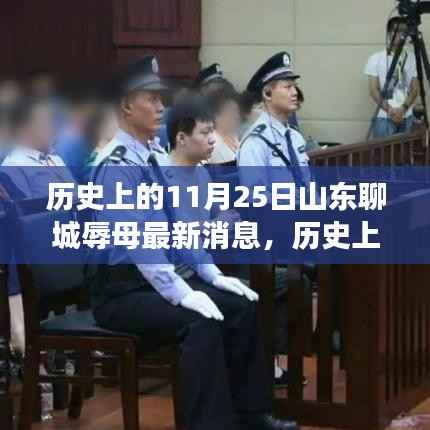 山东聊城辱母事件最新进展全面解析,最新消息与深度解析标题。