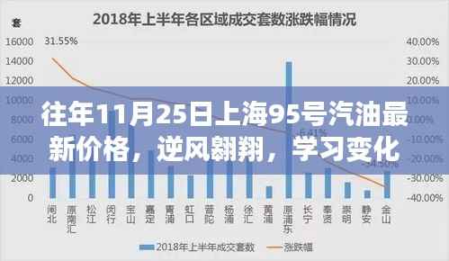 往年11月25日上海95号汽油最新价格,启示中的逆风翱翔与自信成就之路