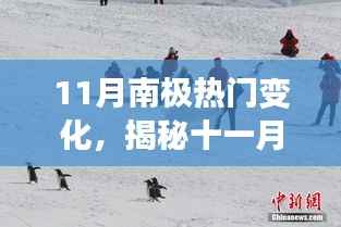 揭秘十一月南极新变化,冰川、野生动植物与你共舞南极之旅