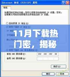 热门软件下载指南,安全合规方法与步骤,适合初学者与进阶用户揭秘11月热门密软件下载秘籍