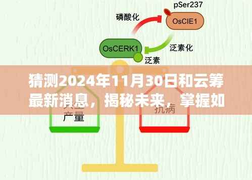 揭秘云筹未来动向,预测云筹在2024年11月30日的最新消息与动态掌握策略