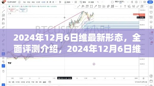 2024年维最新形态全面评测与深度解析