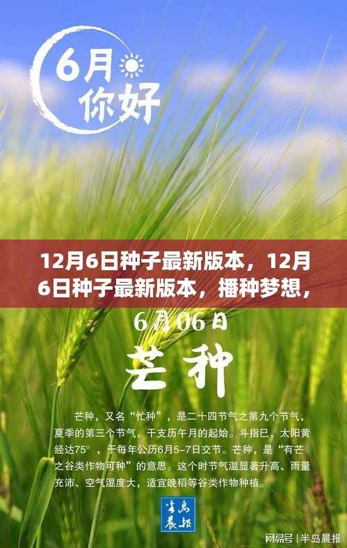 12月6日种子最新版本,播种梦想,成就自信与辉煌