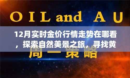 12月实时金价走势探索与心灵之旅,行情指南与美景赏析