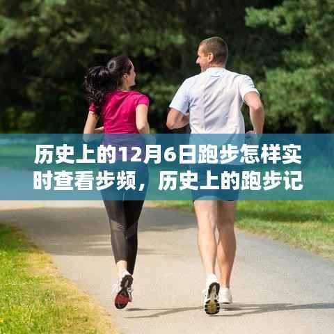 如何实时查看历史跑步记录与步频指南,操作教程