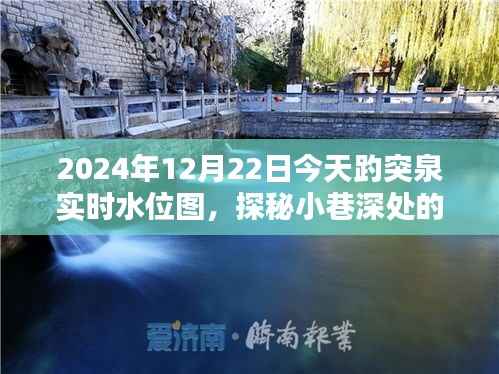 趵突泉畔隐世小店的独特风味与实时水位探秘(2024年12月22日)