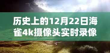 揭秘海雀4K摄像头魔法时刻,秘境探索与小巷深处的特色小店录像纪实