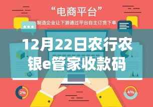 农行农银e管家收款码实时到账操作指南,从初学者到进阶用户的全方位指南