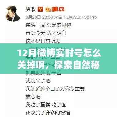 如何优雅关闭微博实时号,探索自然秘境与心灵之旅?