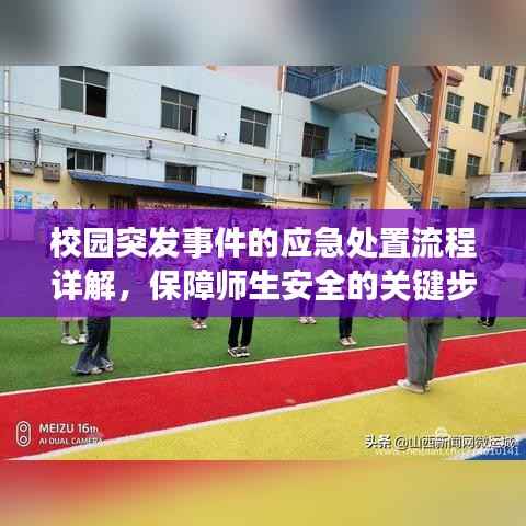 校园突发事件的应急处置流程详解,保障师生安全的关键步骤!
