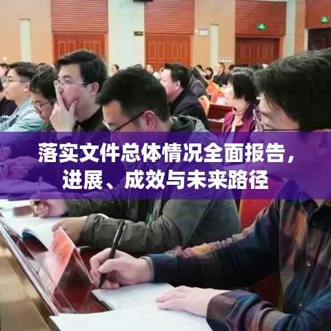 落实文件总体情况全面报告,进展、成效与未来路径