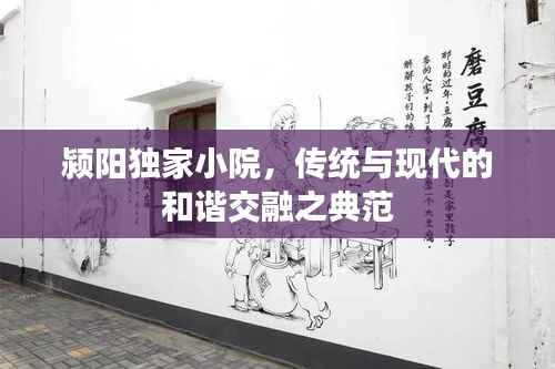 颍阳独家小院,传统与现代的和谐交融之典范