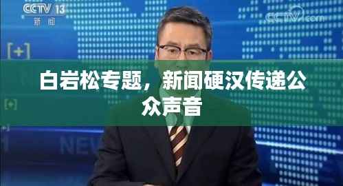 白岩松专题，新闻硬汉传递公众声音