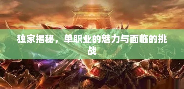 独家揭秘,单职业的魅力与面临的挑战