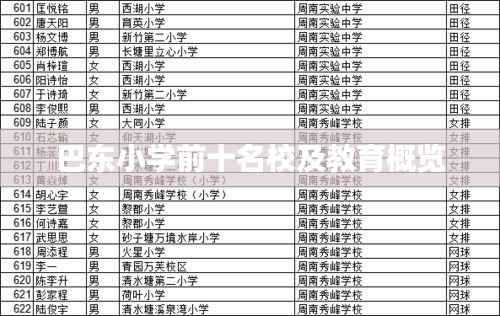 巴东小学前十名校及教育概览