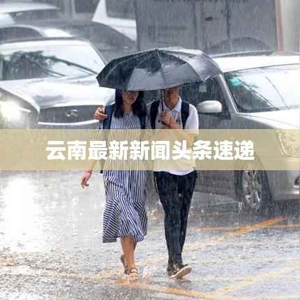 云南最新新闻头条速递