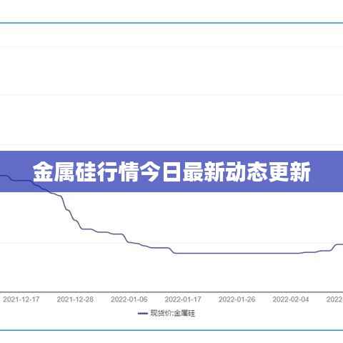 金属硅行情今日最新动态更新