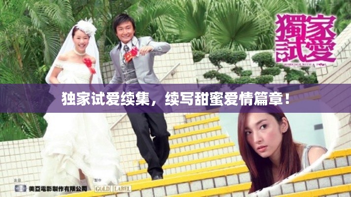 独家试爱续集,续写甜蜜爱情篇章!