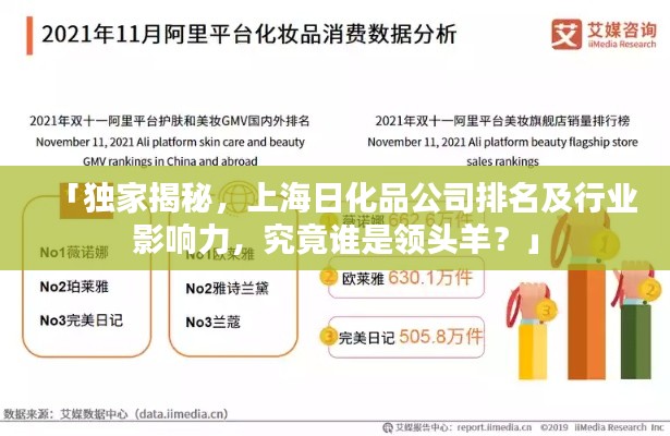 「独家揭秘,上海日化品公司排名及行业影响力,究竟谁是领头羊?」