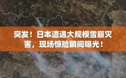 突发!日本遭遇大规模雪崩灾害,现场惊险瞬间曝光!