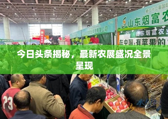 今日头条揭秘,最新农展盛况全景呈现