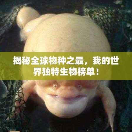 yarenqingzhi 第7页