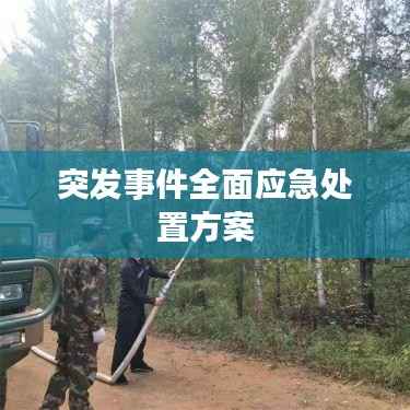 突发事件全面应急处置方案