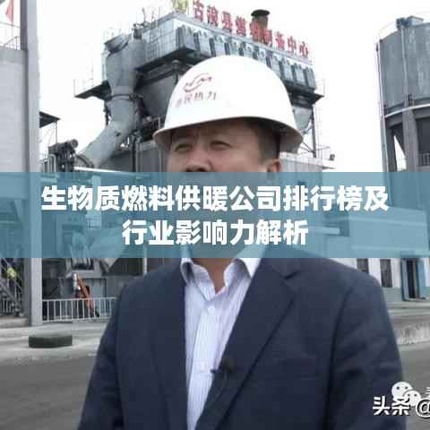 生物质燃料供暖公司排行榜及行业影响力解析