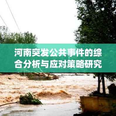 河南突发公共事件的综合分析与应对策略研究