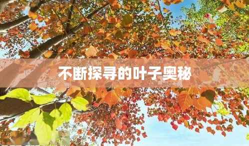 不断探寻的叶子奥秘