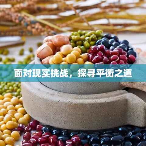 面对现实挑战,探寻平衡之道