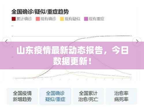 山东疫情最新动态报告,今日数据更新!