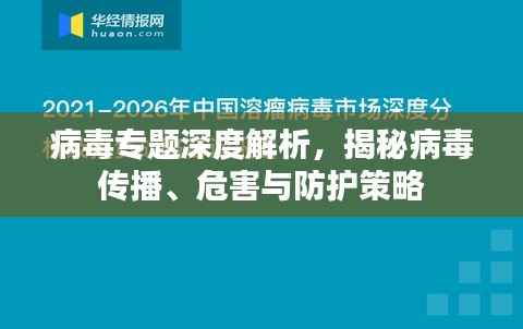 病毒专题深度解析,揭秘病毒传播、危害与防护策略