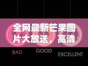 全网最新芒果图片大放送,高清美图一览无余