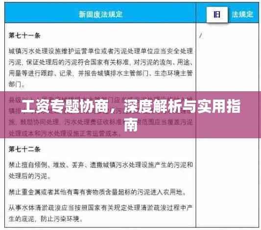 工资专题协商,深度解析与实用指南