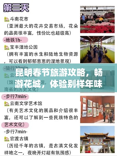 昆明春节旅游攻略,畅游花城,体验别样年味