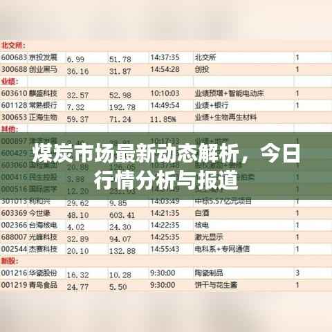 煤炭市场最新动态解析,今日行情分析与报道