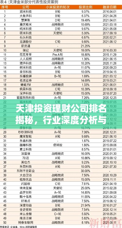 天津投资理财公司排名揭秘，行业深度分析与投资建议
