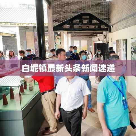 白坭镇最新头条新闻速递